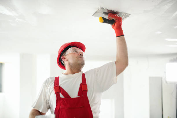 Mold Remediation for Vacation Homes